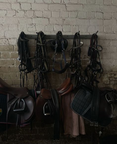 English Saddle Aesthetic, Stable Boy Aesthetic, Stable Hand Aesthetic, Stables Aesthetic, Saddle Aesthetic, Horseback Riding Aesthetic, Aesthetic Horse Riding, Stable Aesthetic, Horses Aesthetic