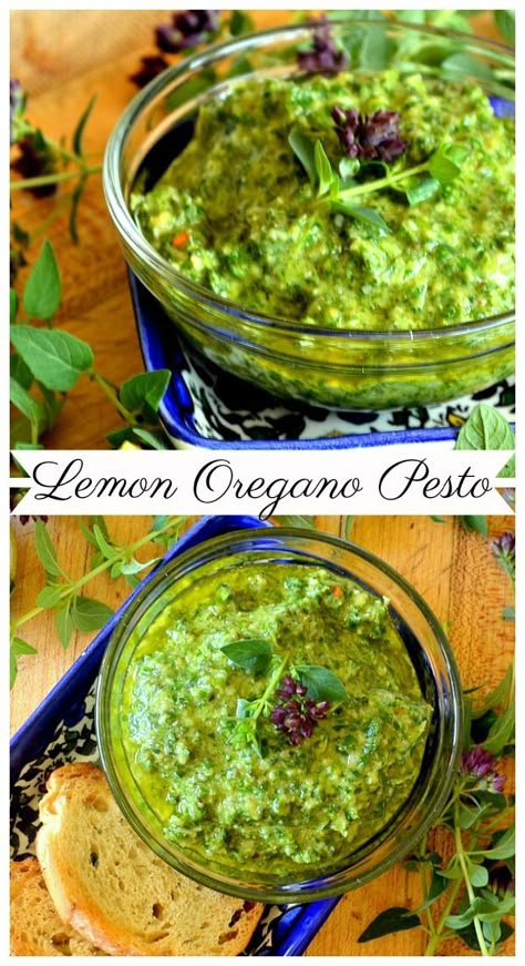 Lemon Oregano Pesto is a great way to use fresh oregano you have growing. Love this on fish or chicken or even Italian subs! Simple to make this pesto beats basil any day! #pesto #sauce #oregano Uses For Fresh Oregano, Ways To Use Fresh Oregano, Fresh Oregano Recipes Chicken, Recipes Using Fresh Oregano, Oregano Recipes Fresh, Fresh Oregano Uses, Recipes With Fresh Oregano, Recipes With Oregano, Fresh Oregano Recipes