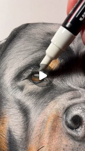 288 likes, 7 comments - biko.artz op June 21, 2024: "I drew a hyper realistic Rottweiler #hyperrealistic #art #rottweiler #drawing #doglovers #foryou #animalartwork #realisticpencilart #cute cr -  samblack_art . . . . . . . . . . . . . hyper-realistic art, how to draw hyper realistic art, how to do hyper realistic art, how to make hyper realistic art, ballpoint pen hyper realistic art, hyper realistic artists, hyper realistic artwork, hyper realistic artist instagram, hyper realistic art pencil, Hyper Realistic Anime, Realistic Drawings Colored Pencils, Rottweiler Drawing, Easy Realistic Drawings, Realistic Art Style, Realism Pencil, Hyper Realistic Drawings, Hyper Realistic Art, Hyperrealistic Drawing