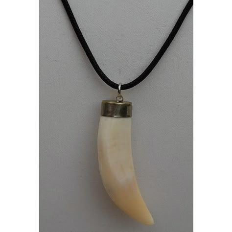 AFRICAN LION'S TOOTH PENDANT bidorbuy ❤ liked on Polyvore featuring jewelry, pendants, lion pendant, african jewelry, lion jewelry, tribal jewellery and tribal jewelry Lion Tooth Pendant, Lion Jewelry, Tooth Pendant, Lion Pendant, African Lion, Tooth Necklace, Jewelry Pendants, African Jewelry, Chocolate Strawberries