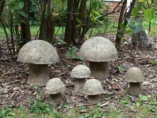 Hypertufa Mushrooms or Tufarooms: 5 Steps (with Pictures) Stone Garden Ideas, Mushroom Garden Art, Moss Board, Concrete Mushrooms, Crafts For Garden, Diy Mushrooms, Moss And Mushrooms, Hypertufa Projects, Cement Leaves