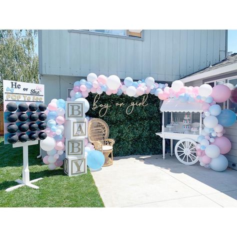 Outdoor Gender Reveal Table Set Up, Garden Gender Reveal Party Ideas, Gender Reveal Set Up Outside, Backyard Gender Reveal Party Ideas, Gender Reveal Outdoor Decorations, Outside Gender Reveal Party Decorations, Gender Reveal Ideas Outdoor, Outdoor Gender Reveal Party Decorations, Gender Reveal Set Up