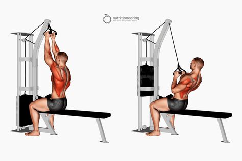 Lat Machine Workout, Salmon Nutrition Facts, Lat Pulldown Machine, Lat Pulldowns, Exercise Images, Inverted Row, Back And Shoulder Workout, Powerlifting Gym, Workout Gym Routine