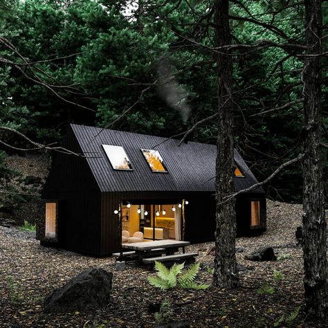 Superior A24: A Forest Cabin in Québec,|Visualization Black Cabin, Black Houses, Nordic House, Chalet Design, Forest Cabin, Cabin Exterior, Modern Barn House, Shed Homes, House Cabin