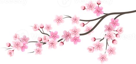 Japanese Flower Art, Mother Daughter Art, Leaves Png, Cherry Blossom Flower, Japanese Flower, Sakura Flower, About Rose, Sakura Cherry Blossom, Cherry Blossom Flowers