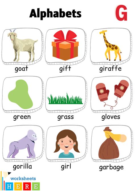 Alphabet G Words with Pictures, Letter G Vocabulary with Pictures - WorksheetsHere.com Letter G Kindergarten, Aquatic Animals Pictures, Letter G Words, G Words For Kids, Synonym Activities, G Alphabet, Letter Pictures, Letter A Words, Alphabet G