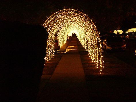 build your own christmas holiday lighted walkway sidewalk driveway arches Arch Light, Light Tunnel, Christmas Light Installation, Hanging Christmas Lights, Wedding Entrance Decor, Prom Decor, Christmas Light Displays, Wedding Entrance, Wedding Stage Decorations