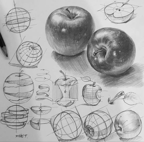 Product Drawing, Fruit Art Drawings, Basic Sketching, Structural Drawing, Realistic Sketch, Hair Illustration, Object Drawing, Perspective Art, Drawing Studies