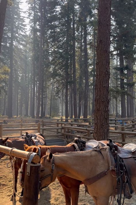 Western Nature Aesthetic, Western Cottage Aesthetic, Mountain Ranch Aesthetic, Aesthetic Farm Pictures, Country Cowgirl Aesthetic, Horses On Farm, Old Money Country Aesthetic, Western Luxury Home, Montana Ranch Life Aesthetic