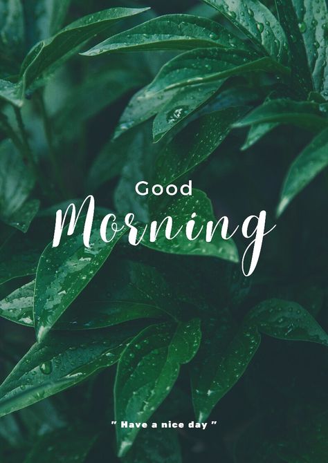 Good Morning Asthetic Wishes, Good Morning Videos, Good Morning Aesthetic, Good Morning Spiritual, Green Morning, Morning Massage, Good Morning Pics, Morning Pic, Good Morning Massage