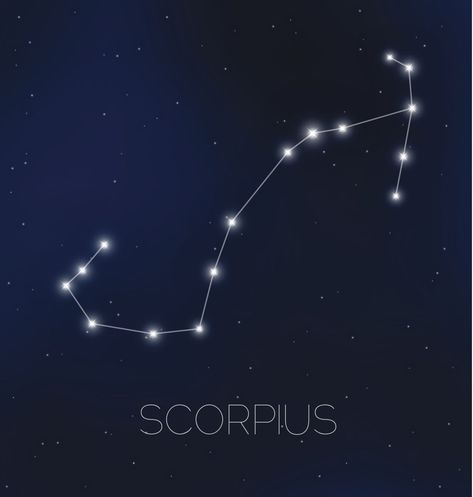 Scorpius Constellation Scorpion Constellation, Scorpius Constellation, November Bujo, Constellation Scorpio, Scorpio Constellation, Virgo Woman, Scorpio Man, Coordinate Plane, Zodiac Signs Scorpio