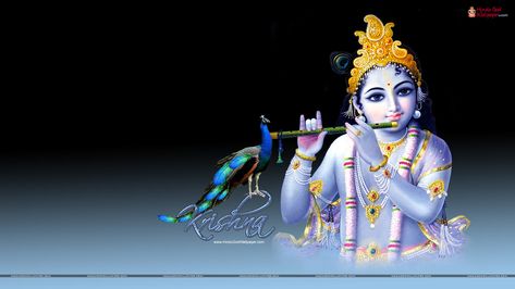 bal krishna images and wallpaper Download Janmashtami Greeting, Krishna Wallpapers Hd Wallpaper, Krishna Hd Wallpapers, Wallpaper Krishna, Lord Krishna Radha, Bala Ji, Cool Desktop Wallpapers, Shree Radha, Wallpapers Black