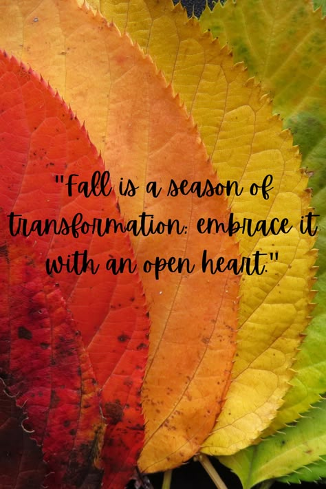 Autumn Quotes Inspirational, Autumn Sayings, Manifestation Prayer, Fall Quotes, Autumn Love, Autumn Magic, Notable Quotes, Fall Is In The Air, Autumn Quotes