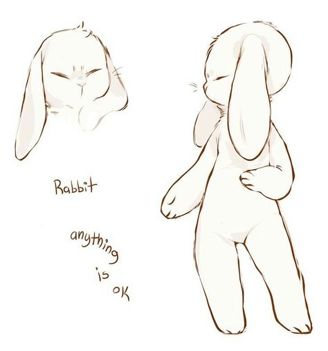 Master Drawings, Bunny Drawing, Bunny Art, Anime Drawings Tutorials, Arte Animal, Art Tutorials Drawing, Drawing Base, Art Inspiration Drawing, A Drawing