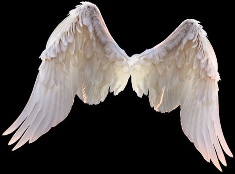 #Samanyu🔥 Angel Wings From Behind, Fake Angel Wings, Angel Wing Reference, Wings Png For Editing, Angel Wings Realistic, Wings On People, Angel Wings Reference, Wings Aesthetics, Angel Wings Aesthetic