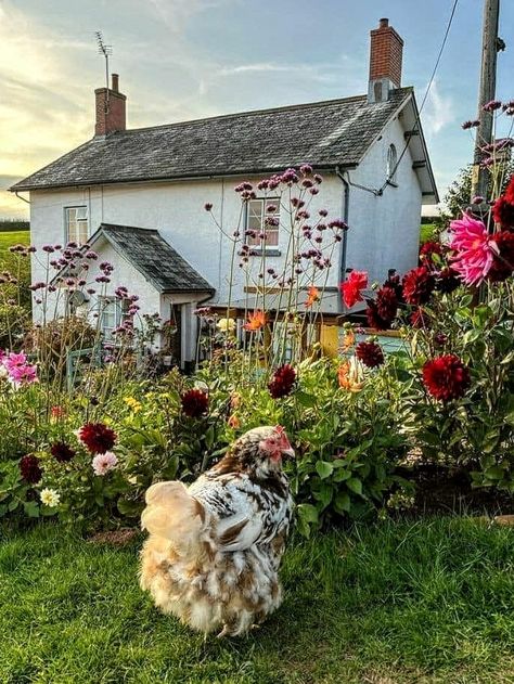 Crazy Houses, Future Farms, Cozy Patio, Farm Lifestyle, Dream Farm, English Cottage Garden, Hobby Farm, Dream Cottage, Cottage Life