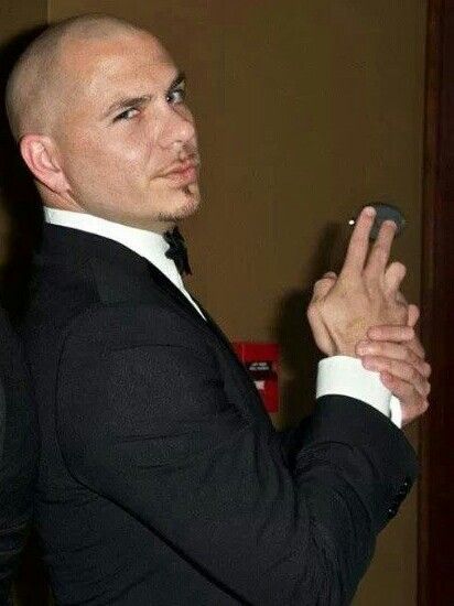 Mister Worldwide, Pitbull Artist, Pitbull Singer, Pitbull Mr Worldwide, My Astethic, Mr 305, Dior Boots, Chicano Love, Mr Worldwide