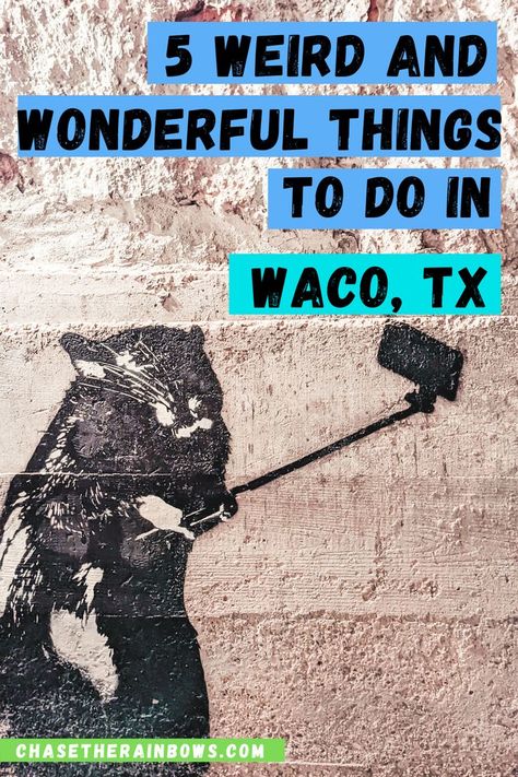 5 Weird and Wonderful Things To Do in Waco Texas Waco Texas Things To Do In, Dr Pepper Museum, Weekend In Atlanta, Austin Texas Travel, Beer Spa, Texas Travel Guide, Texas Road Trip, Texas Trip, Texas Roadtrip