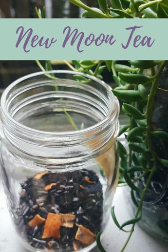 New Moon Tea Blend Recipe | The Witch of Lupine Hollow Moon Tea Recipe, New Moon Tea, Earl Grey Lavender, Moon Tea, Tea Blends Recipes, Witch Recipes, Herbal Tea Garden, Kitchen Witch Recipes, Homemade Tea