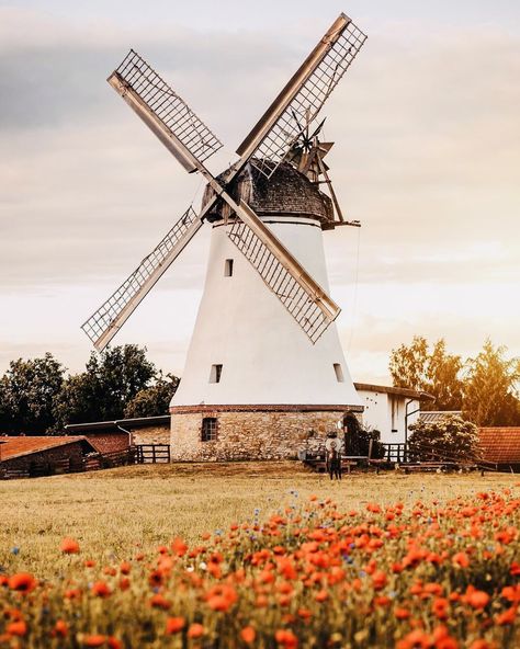 Netherlands Windmills, Windmills Photography, Windmill Photos, Windmill Landscaping, Windmill Art, Holland Windmills, Dutch Windmill, Old Windmills, Norfolk Broads