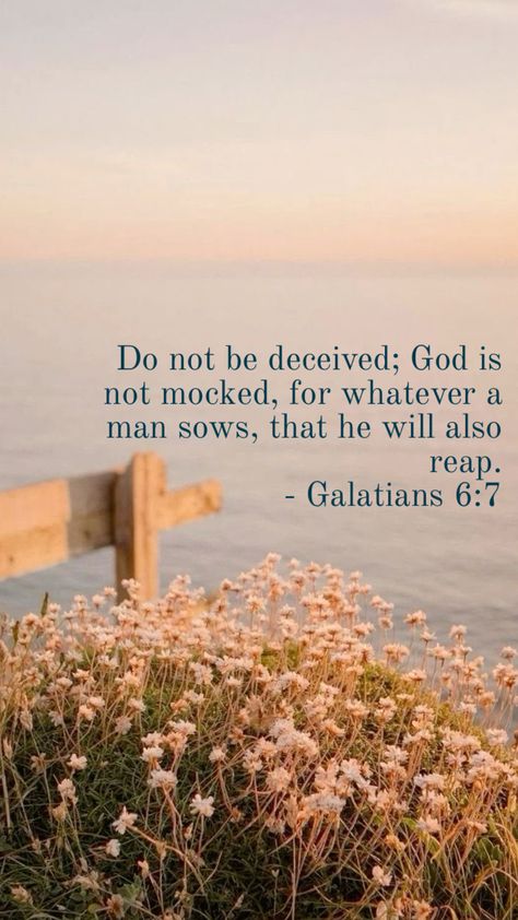 Galatian 6:7 Galatians 6 7, Do Not Be Deceived, Galatians 6, Bible Verse Background, Bible Notes, Bible Quotes Prayer, Read Bible, Quotable Quotes, Quotes About God