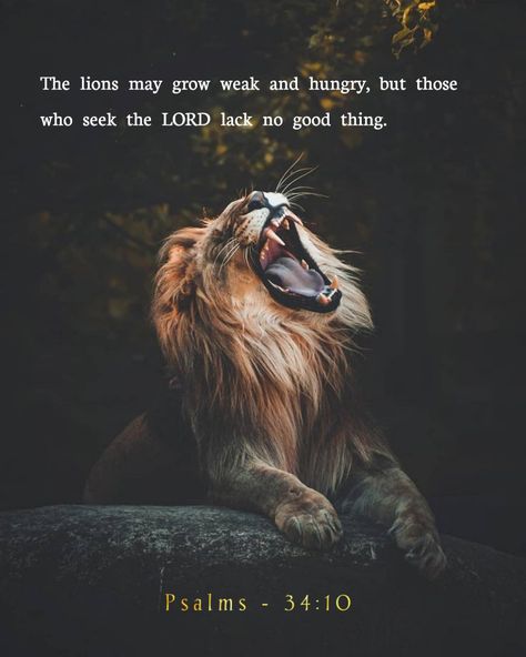 Psalm 34:10 Wallpaper, Bible Sayings Quotes, Lion Bible Verse, Yeshua Quotes, Psalm 34 10, Trusting The Process, Bible Verse Background, Comforting Bible Verses, Bible Devotions