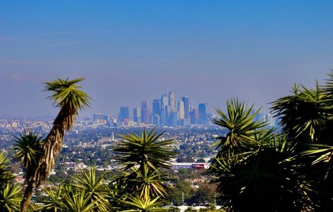 Baldwin Hills Scenic Overlook (Culver City) - All You Need to Know BEFORE You Go Baldwin Hills, Culver City California, San Gabriel Mountains, Photoshoot Locations, Take The Stairs, Culver City, Visitor Center, Park City, Great View