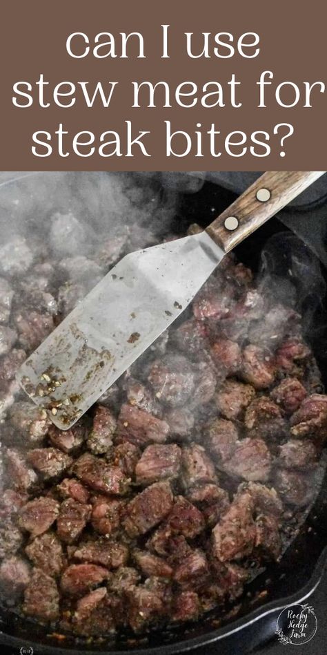 Beef For Stew Recipes Meat, Beef Stew Meat Steak Bites, Stew Meat On Blackstone, Stew Meat Summer Recipes, Stew Meat On Stove Top, How To Cook Beef Stew Meat On Stove, Stew Steak Recipes Dinners, Stew Meat Blackstone, Beef Stew Meat Air Fryer Recipes