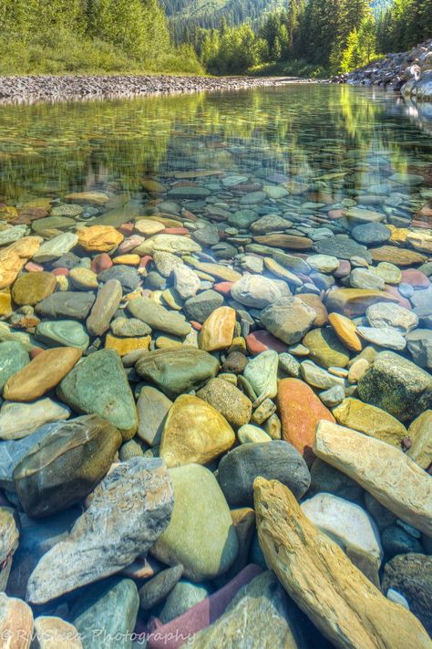 Pebble Shore Lake, Lake Mcdonald, Glacier Park, Rock And Pebbles, River Stones, Beautiful Rocks, Rock Pools, Landscape Artwork, Glacier National