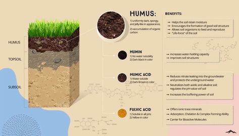 Fulvic Acid Benefits, Weird Thing, Humic Acid, Fulvic Acid, Health Heal, Top Soil, Holistic Medicine, Healthy Ideas, Deck Garden