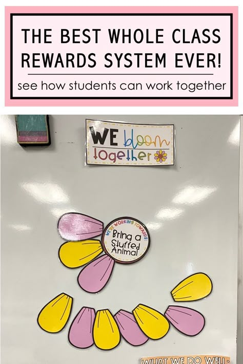 whole class rewards Make Classroom Feel Like Home, Whole Class Reward System, Cheap Classroom Decor, Class Reward System, Silly Costumes, Whole Class Rewards, Class Rewards, Reward Ideas, Classroom Incentives