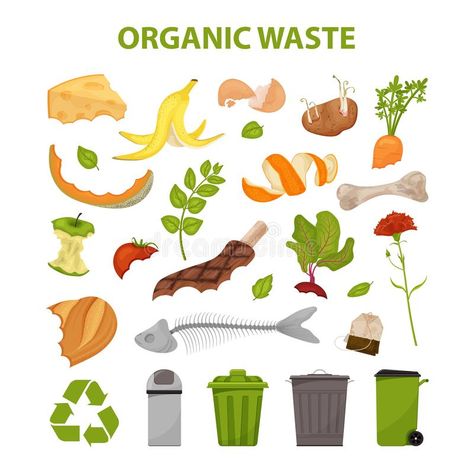 Food Waste Drawing, Food Waste Illustration, Food Waste Poster, Dan Planeta Zemlje, Infographic Food, Food Waste Recycling, Safety Plan, Recycling Activities, Garbage Recycling