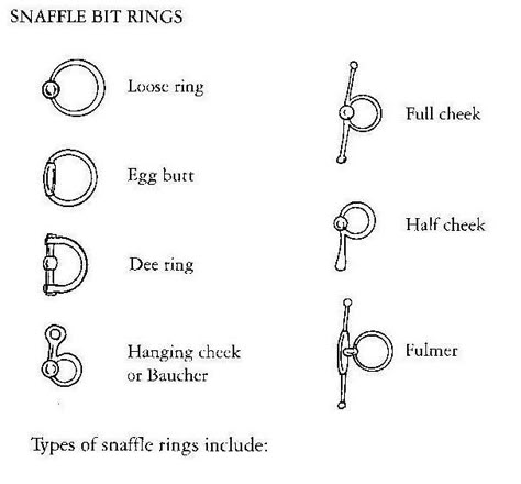 types of snaffle bit rings #Horsemastership #glenlyon pony club. Pony Club Worksheets, Horse Show Checklist English, Horse Bits Types Of, Bits For Horses, Different Types Of Horse Bits, Types Of Horse Bits Western, Snaffle Bit, Horse Information, Horse Lessons