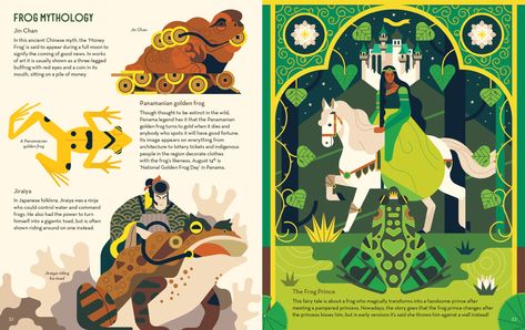 Fanatical About Frogs - Owen Davey Illustration Irish Graphic Design, Different Types Of Monkeys, Irish Myths, Revolution Design, Owen Davey, Golden Frog, Zoo Design, Sketch Board, Monkey Drawing