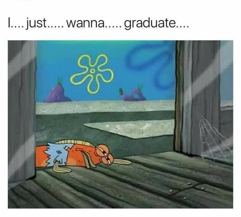 College Memes For The Students Who Should Be Studying College Memes, Spongebob Memes, College Humor, School Memes, Story Of My Life, E Card, Oui Oui, Shrek, I Can Relate