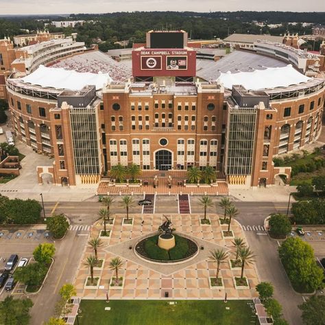 Doak Campbell Stadium, Florida State University Aesthetic, Fsu Stadium, Fsu Vs Uf, Florida State University Campus, Blueprint Background, Class Of 2028, Western Wallpapers, Florida State Seminole