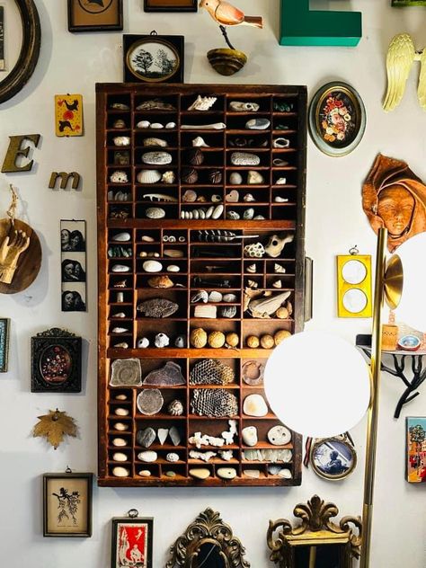 Wall Of Curiosities, Curiosity Cabinet Aesthetic, Cabinet Of Curiosities Aesthetic, Collections Of Objects Display, Curiosity Aesthetic, Thrift Core, Anthropology Major, Trinket Shelf, Calming Room