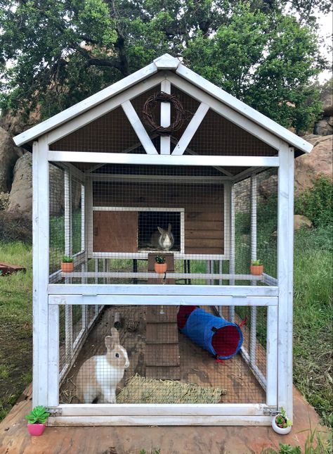 Outside Bunny House, Bunny Cage Outside, Rabbits House, Outside Rabbit Cage, Rabbit Coop Ideas, Bunny Houses Outdoor, Rabbit House Outdoor Diy, Bunny Enclosures Outdoor, Outdoor Bunny Enclosure Ideas