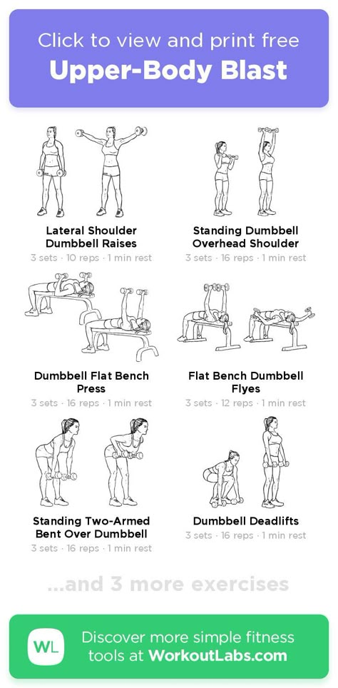 Upper Body Weight Workout, Upper Body Workout Plan, Back Of Arm Exercises, Upper Body Workout Gym, Upper Body Workout Routine, Chest And Back Workout, Chest Exercise, Upper Body Workout For Women, Workout Labs