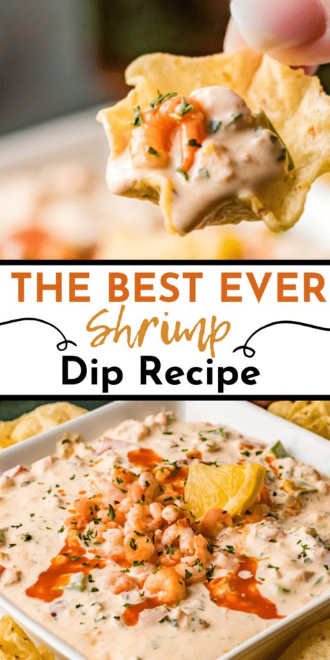 Spicy Shrimp Dip Recipes, Spicy Shrimp Dip, Cajun Shrimp Dip, Shrimp Dips, Shrimp Dip Recipe, Spicy Cajun Shrimp, Shrimp Dip Recipes, Seafood Dip, Shrimp Dip