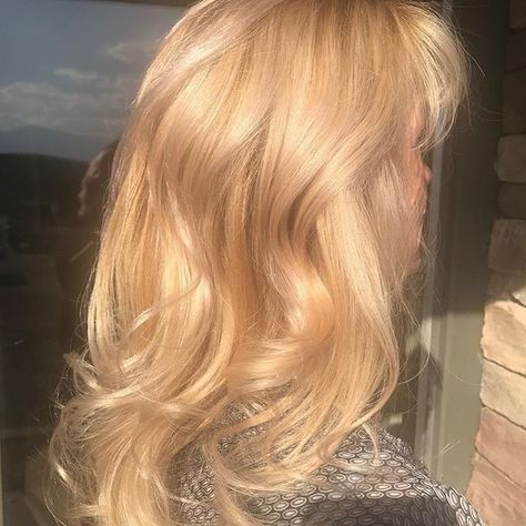 Carnal Blonde Hair, Yellow Toned Blonde Hair, Natural Golden Blonde Hair, Sunny Blonde Hair, Light Honey Blonde, Ideas For Medium Length Hair, Sunny Blonde, Yellow Blonde Hair, Golden Blonde Hair Color