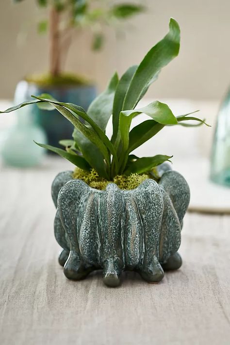 Babs Ceramic Pot | Anthropologie Double Pinch Pot Ideas, Plants For Containers, Ceramic Pinch Pots, Pots Ceramic, Plant Arrangements, Miniature Pottery, Metallic Glaze, Ancient Pottery, Pottery Handbuilding