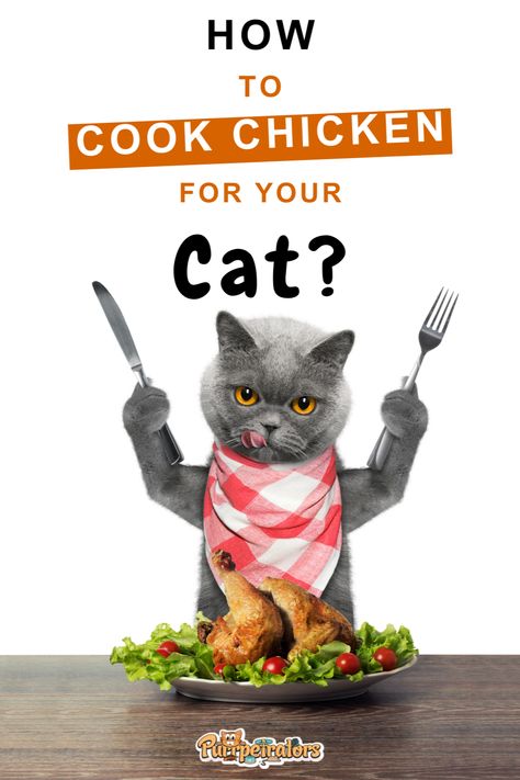 Feline fettuccine? Yes, please! 🐈 Uncover the secret to perfectly cooked, mouth-watering chicken that your kitty will adore. Our expert tips, tricks, and flavorful recipes in 'How To Cook Chicken For Cats? | Purrpetrators' will make you the cat-loving chef of your neighborhood. Recipes With Chicken And Potatoes, Undercooked Chicken, Cat Food Recipes, Chicken Cat, Ways To Cook Chicken, Chicken Treats, Canned Cat Food, Pet Things, Pressure Cooker Chicken