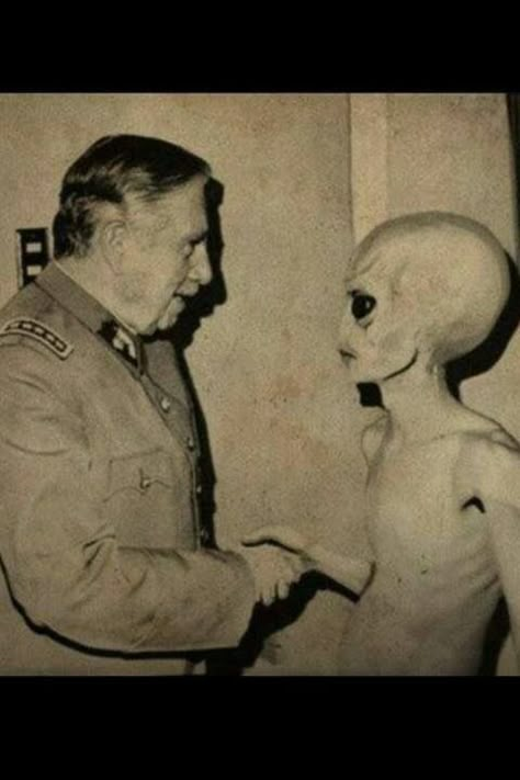 Alien Theories, Alien Photos, Aliens Exist, Grey Alien, Art Alien, Arte Alien, The Truth Is Out There, I Want To Believe, Aliens And Ufos