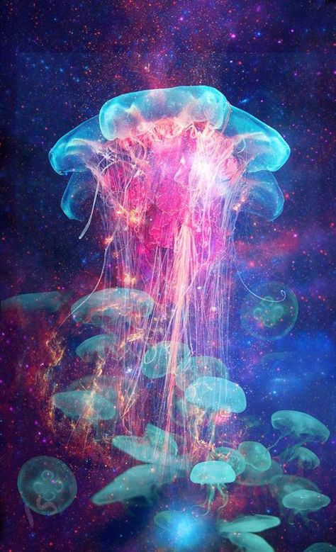 Aurelia aurita (also called the moon jelly, moon jellyfish, common jellyfish, or saucer jelly). Creature Marine, Water Creatures, Under The Water, Beautiful Sea Creatures, Underwater Creatures, Underwater Life, Water World, Water Life, Aquatic Life