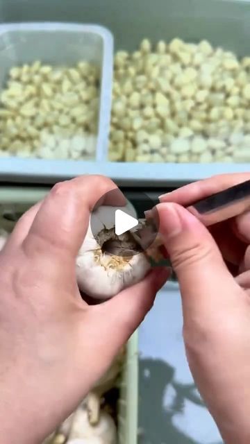 Peeling Garlic Cloves Hack, Best Way To Peel Garlic, Easy Way To Peel Garlic Cloves, How To Peel Garlic Cloves Easy Video, How To Store Peeled Garlic, Peeling Garlic Cloves Easy, Peel Garlic Easy, Garlic Peeling Hack, How To Peel Garlic Cloves Easy