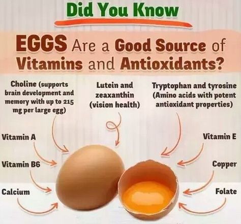 Benefits Of Eating Eggs, Egg Facts, Health Benefits Of Eggs, Benefits Of Food, Egg Benefits, Food Health Benefits, Eating Eggs, Healing Foods, Healthy Benefits