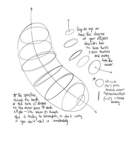 Contour Line Drawing, Study Drawing, Lines Texture, Structural Drawing, Form Drawing, Contour Lines, Perspective Drawing Lessons, 3d Space, Contour Line