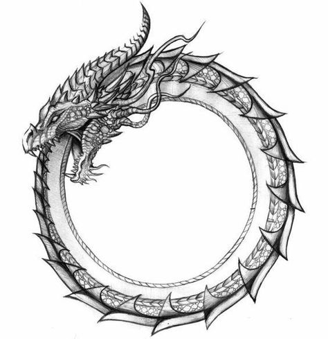 Eating Tattoo, Circle Dragon, A Dragon, A Drawing, A Black, Black And White, White, Black