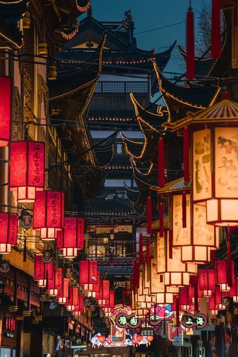 Shanghai Lantern Festival Shanghai Aesthetic, East Asian Culture, Asian New Year, Asian Lifestyle, Shanghai Night, Chinese Places, Shanghai Travel, Chinese Lantern Festival, City Nature